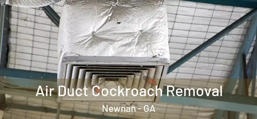  Air Duct Cockroach Removal Newnan - GA