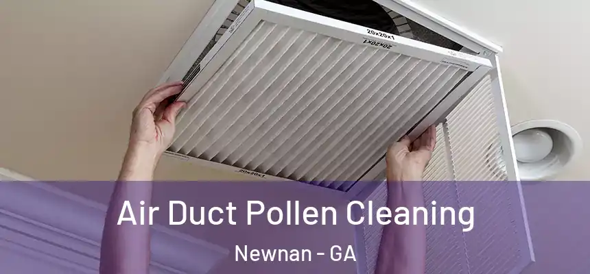 Air Duct Pollen Cleaning Newnan - GA