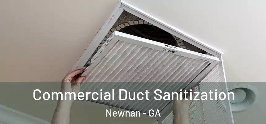 Commercial Duct Sanitization Newnan - GA