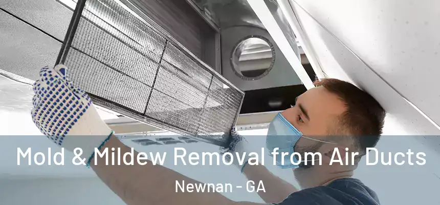  Mold & Mildew Removal from Air Ducts Newnan - GA