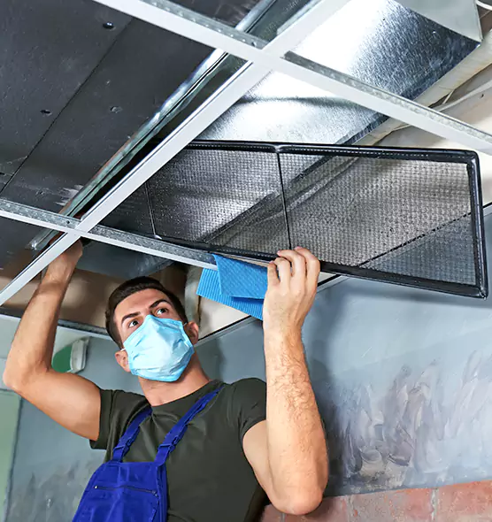 About Air Duct Bacteria Removal in Newnan