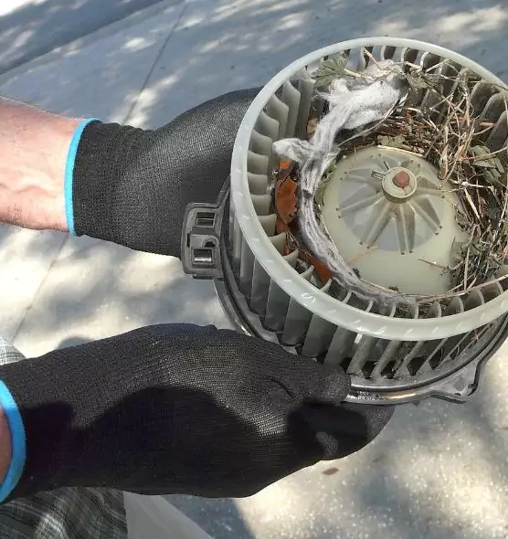 About Air Duct Rat Removal in Newnan, GA