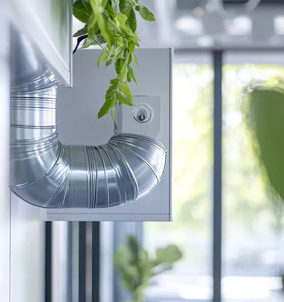 Professional Eco-Safe Dryer Vent Cleaning in Newnan, GA