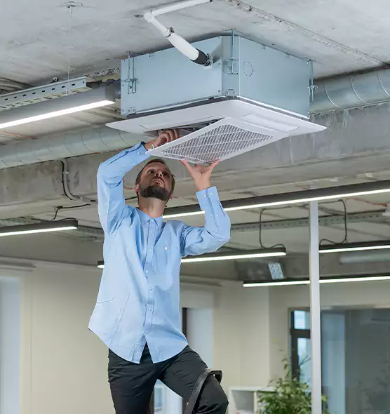 Advanced Rodent Droppings In Vents in Newnan, GA