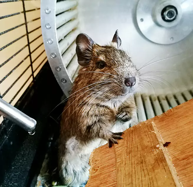 Why Homeowners & Businesses Trust Us Newnan, GA