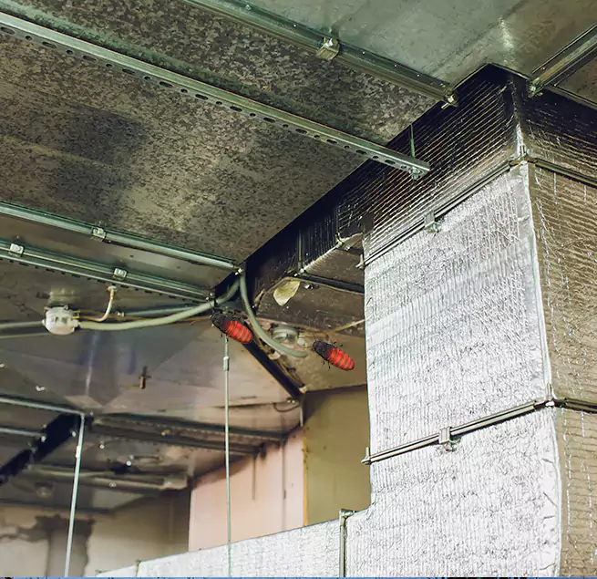 Why Homeowners & Businesses Trust Us Newnan, GA?