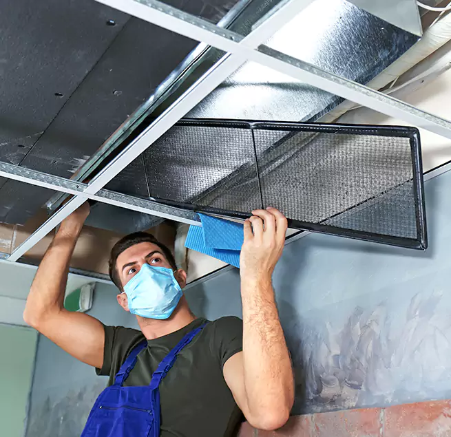 Why Homeowners & Businesses Trust Us in Newnan, GA?